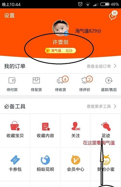 《手机淘宝》淘气值查看方法介绍