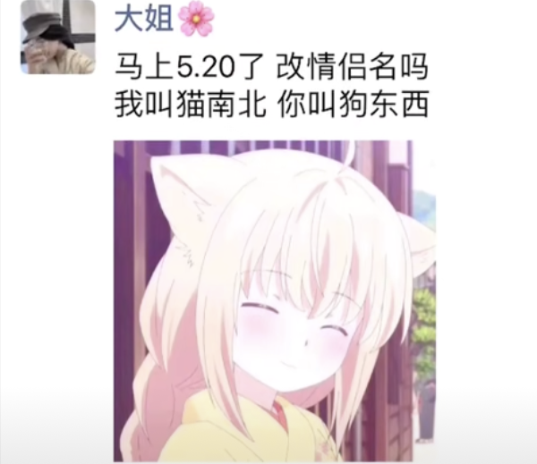 《抖音短视频》猫南北狗东西含义介绍