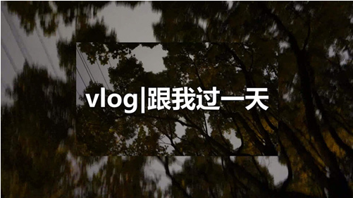 VLOG是什么？