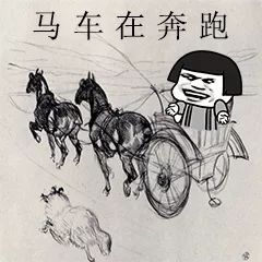 《抖音》安娜的橱窗搞笑歌词表情包分享