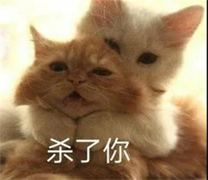 《抖音》猛男之怒表情包分享