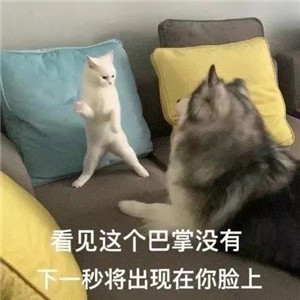 《抖音》猛男之怒表情包分享