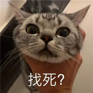 《抖音》猛男之怒表情包分享