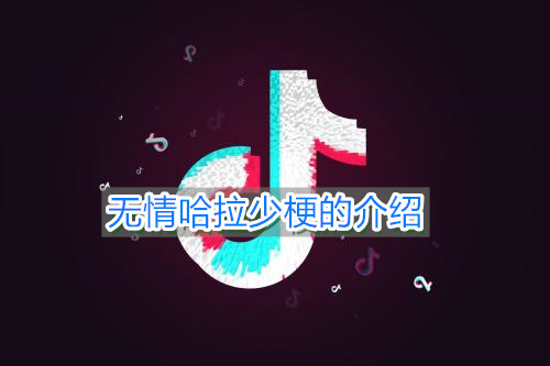 《抖音》无情哈拉少梗的介绍