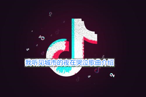 《抖音》我听见城市的夜在哭泣歌曲介绍