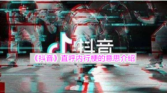 《抖音》直呼内行梗的意思介绍