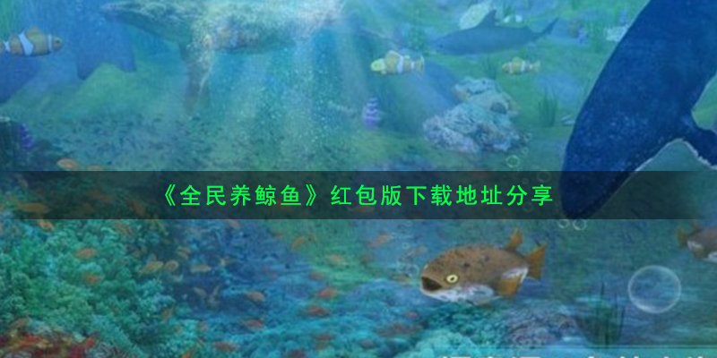 《全民养鲸鱼》红包版下载地址分享