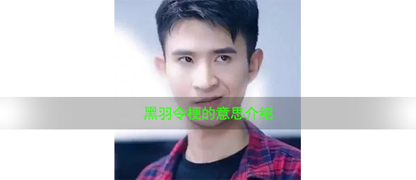 黑羽令梗的意思介绍