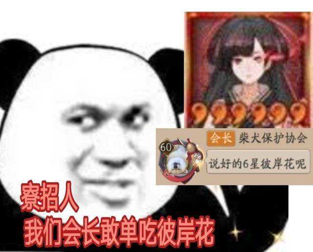 网络老阴阳师了梗的意思介绍