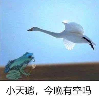 《抖音》小天鹅今晚有空吗表情包分享