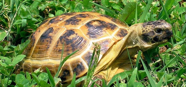 《微博》9月3日森林驿站每日一题答案