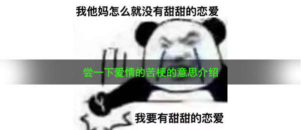 尝一下爱情的苦梗的意思介绍