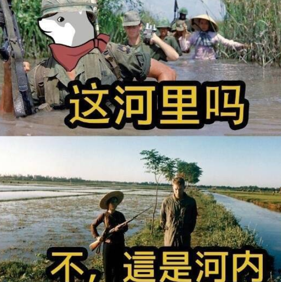 《抖音》这并非河里表情包？