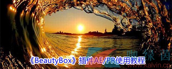 《BeautyBox》插件AE/PR使用教程