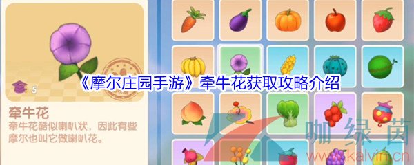 《摩尔庄园手游》牵牛花获取攻略介绍