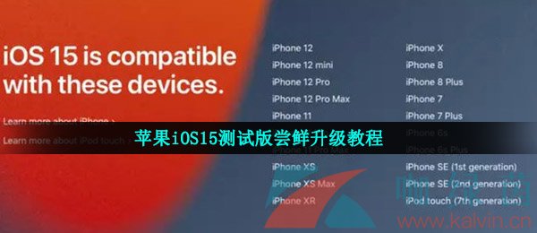 苹果iOS15测试版尝鲜升级教程