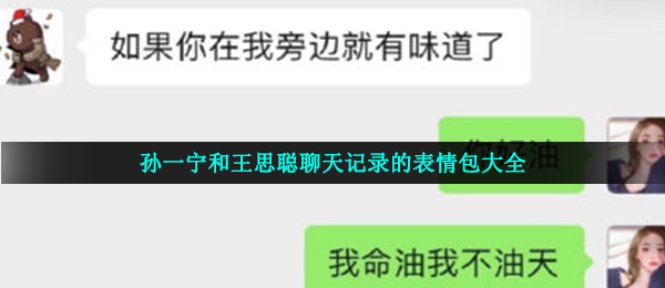 孙一宁和王思聪聊天记录的表情包大全