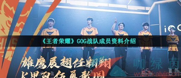 《王者荣耀》GOG战队成员资料介绍