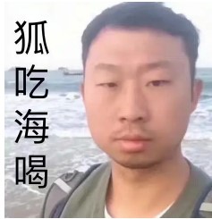 无穷小亮狐主任系列表情包大全