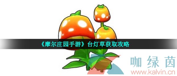 《摩尔庄园手游》台灯草获取攻略