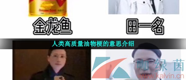 人类高质量油物梗的意思介绍