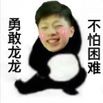 勇敢龙龙不怕困难表情包大全GIF动图