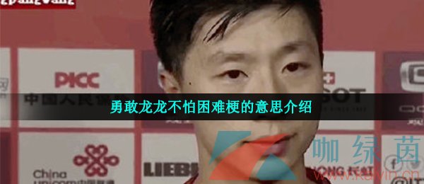 勇敢龙龙不怕困难梗的意思介绍