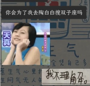 陶白白梗的意思介绍