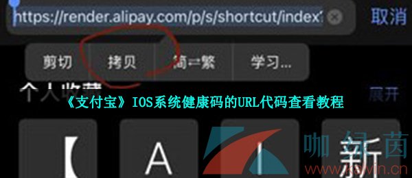 《支付宝》IOS系统健康码的URL代码查看教程