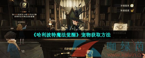 《哈利波特魔法觉醒》宠物获取方法