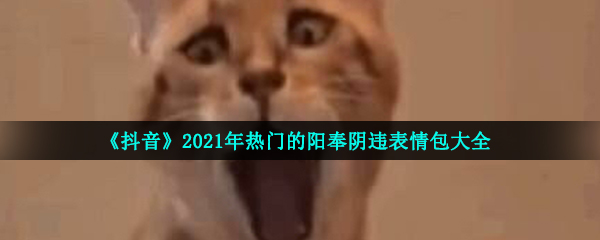 《抖音》2021年热门的阳奉阴违表情包大全