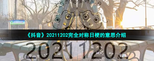 《抖音》20211202完全对称日梗的意思介绍