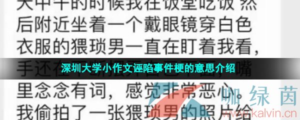 深圳大学小作文诬陷事件梗的意思介绍