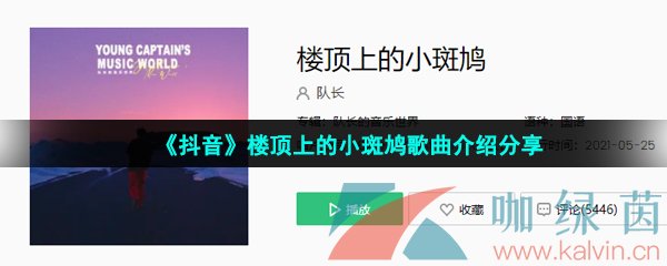 《抖音》楼顶上的小斑鸠歌曲介绍分享