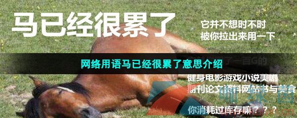 网络用语马已经很累了意思介绍