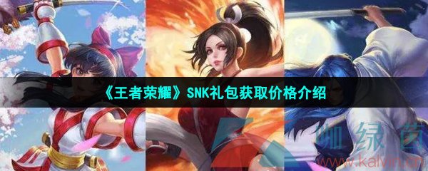 《王者荣耀》SNK礼包获取价格介绍