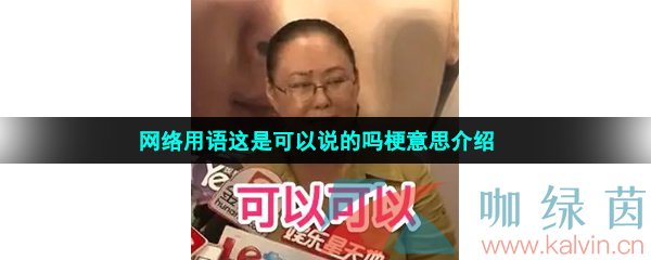 网络用语这是可以说的吗梗意思介绍