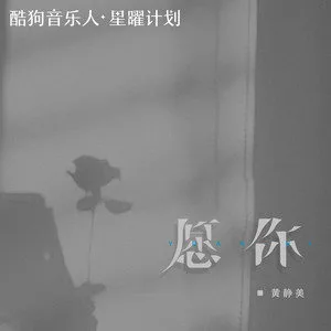 《抖音》愿你歌曲介绍分享