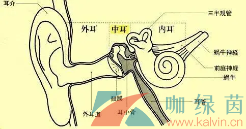 《支付宝》蚂蚁庄园2022年3月22日每日一题答案