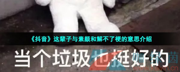 《抖音》这辈子与素颜和解不了梗的意思介绍