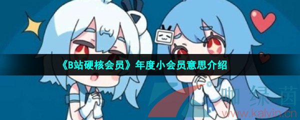 《哔哩哔哩》年度小会员意思介绍