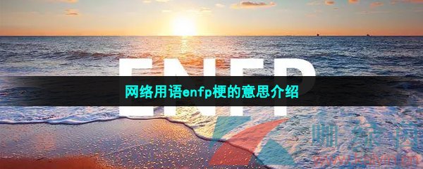 网络用语enfp梗的意思介绍