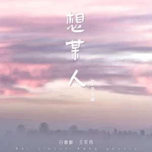 《抖音》想某人 (DJ沈念版)歌曲介绍