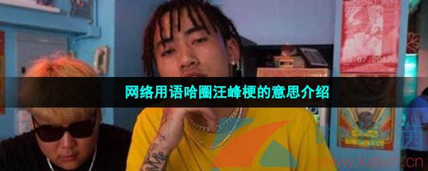 网络用语哈圈汪峰梗的意思介绍