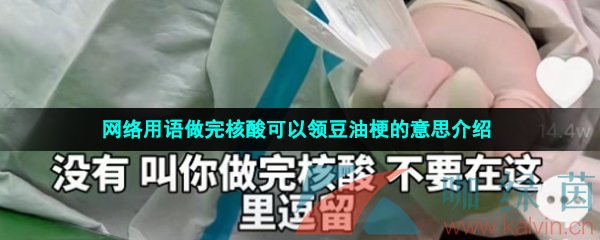 网络用语做完核酸可以领豆油梗的意思介绍