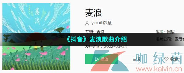 《抖音》麦浪歌曲介绍