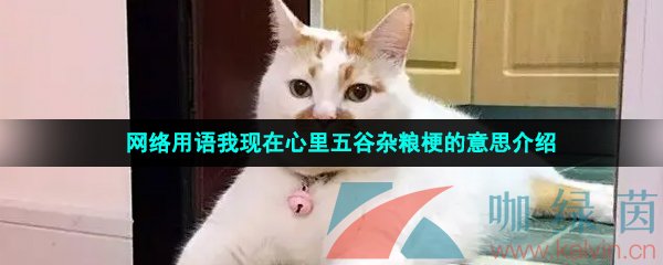 网络用语我现在心里五谷杂粮梗的意思介绍