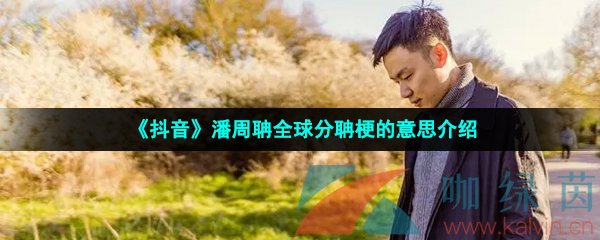 《抖音》潘周聃全球分聃梗的意思介绍