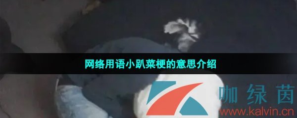 网络用语小趴菜梗的意思介绍