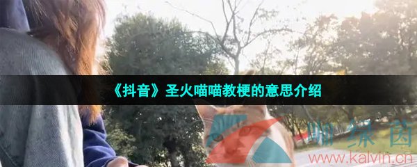 《抖音》圣火喵喵教梗的意思介绍